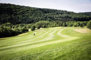 Rasen vom Golfclub Pf&auml;lzerwald