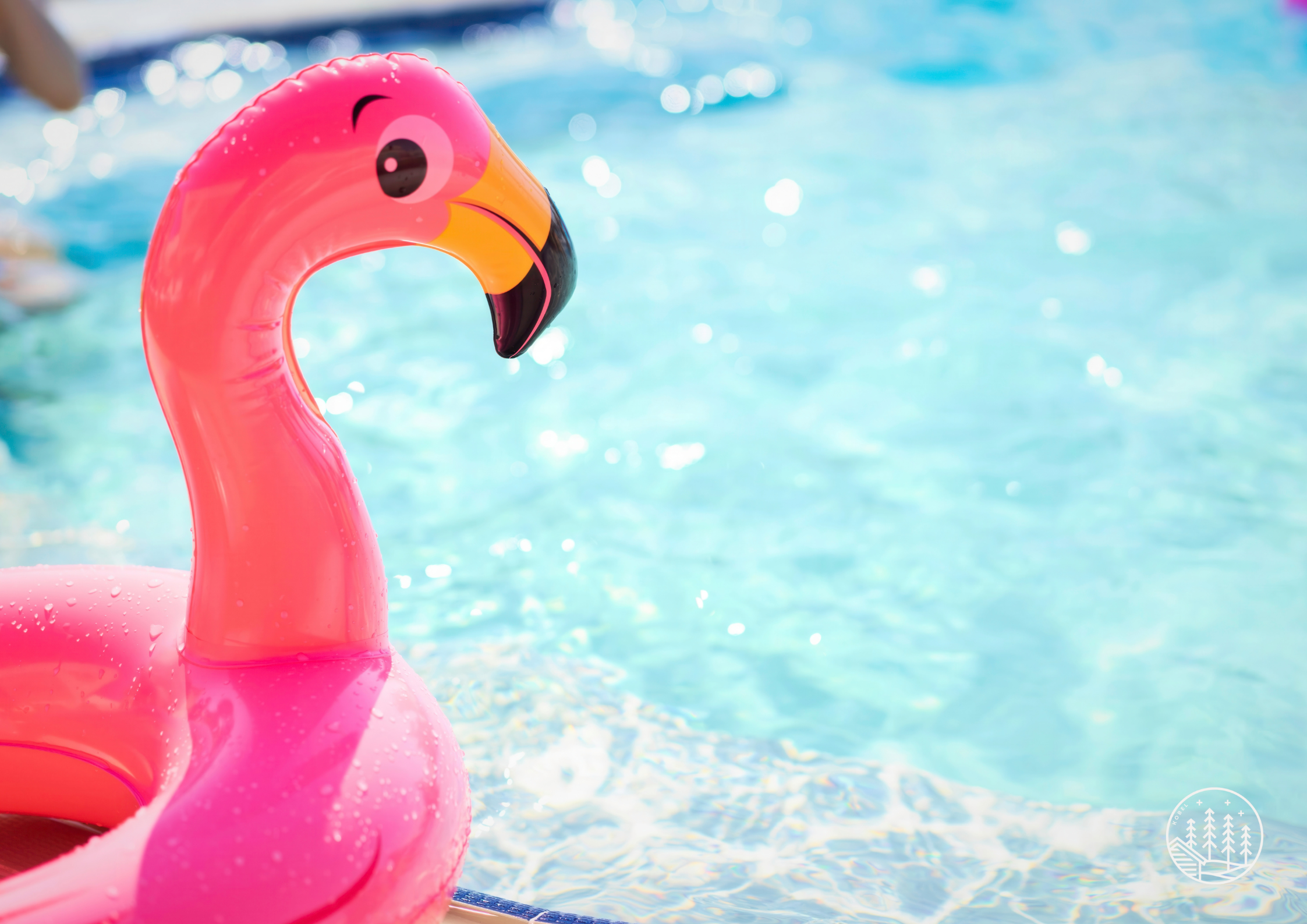 Flamingo im Wasser als Zeichen f&uuml;r Badespa&szlig;