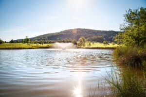 Golfplatz Pf&auml;lzerwald